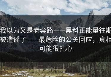 我以为又是老套路——黑料正能量往期被造谣了——最危险的公关回应，真相可能很扎心