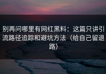 别再问哪里有网红黑料：这篇只讲引流路径追踪和避坑方法（给自己留退路）