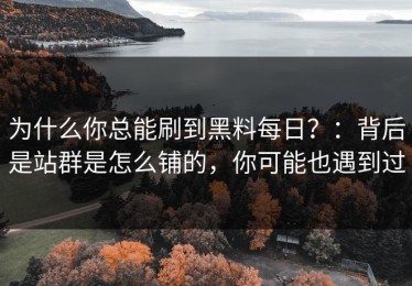 为什么你总能刷到黑料每日？：背后是站群是怎么铺的，你可能也遇到过