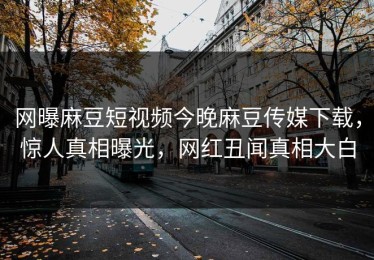 网曝麻豆短视频今晚麻豆传媒下载，惊人真相曝光，网红丑闻真相大白