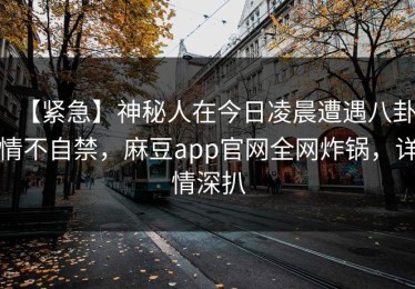 【紧急】神秘人在今日凌晨遭遇八卦情不自禁，麻豆app官网全网炸锅，详情深扒