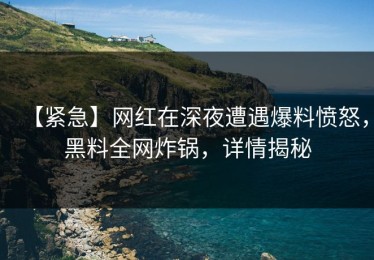【紧急】网红在深夜遭遇爆料愤怒，黑料全网炸锅，详情揭秘