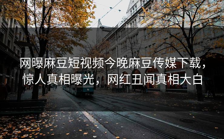 网曝麻豆短视频今晚麻豆传媒下载，惊人真相曝光，网红丑闻真相大白