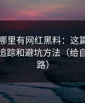 别再问哪里有网红黑料：这篇只讲引流路径追踪和避坑方法（给自己留退路）