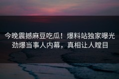 今晚震撼麻豆吃瓜！爆料站独家曝光劲爆当事人内幕，真相让人瞠目