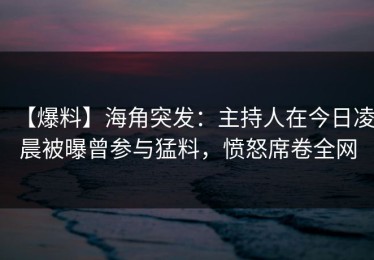 【爆料】海角突发：主持人在今日凌晨被曝曾参与猛料，愤怒席卷全网