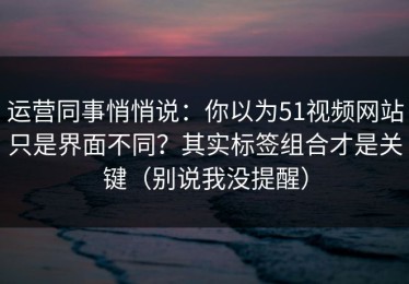 运营同事悄悄说：你以为51视频网站只是界面不同？其实标签组合才是关键（别说我没提醒）
