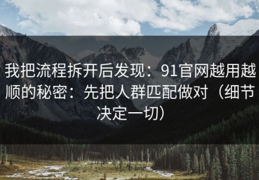 我把流程拆开后发现：91官网越用越顺的秘密：先把人群匹配做对（细节决定一切）
