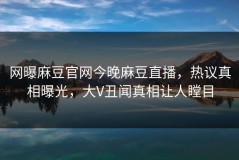 网曝麻豆官网今晚麻豆直播，热议真相曝光，大V丑闻真相让人瞠目