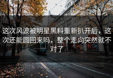 这次风波被明星黑料重新扒开后，这次还能圆回来吗，整个走向突然就不对了