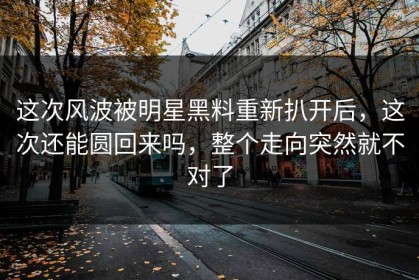 这次风波被明星黑料重新扒开后，这次还能圆回来吗，整个走向突然就不对了