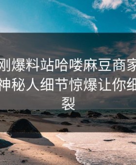 网曝刚刚爆料站哈喽麻豆商家版，全网疯传神秘人细节惊爆让你细节太炸裂