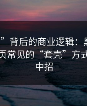 “入口”背后的商业逻辑：黑料网在线入口页常见的“套壳”方式，别再中招