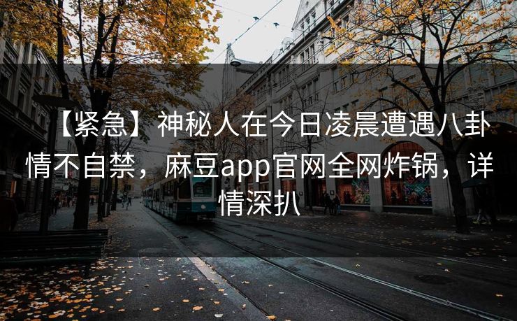 【紧急】神秘人在今日凌晨遭遇八卦情不自禁，麻豆app官网全网炸锅，详情深扒