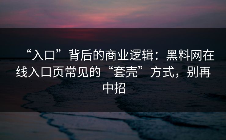 “入口”背后的商业逻辑：黑料网在线入口页常见的“套壳”方式，别再中招