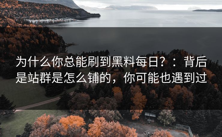 为什么你总能刷到黑料每日？：背后是站群是怎么铺的，你可能也遇到过