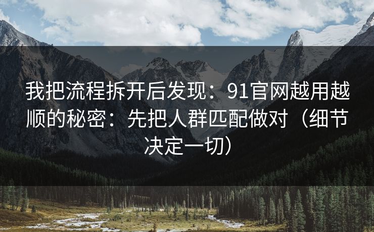 我把流程拆开后发现：91官网越用越顺的秘密：先把人群匹配做对（细节决定一切）